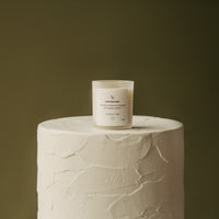 zodiac series - crystal infused candle - capricorn
