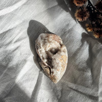 spiralite shell with druzy quartz 6