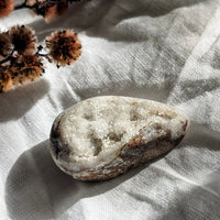 spiralite shell with druzy quartz 9
