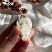 spiralite shell with druzy quartz 9