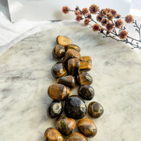 tiger eye tumble