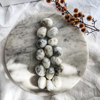 dendritic agate tumble