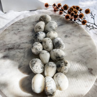 dendritic agate tumble