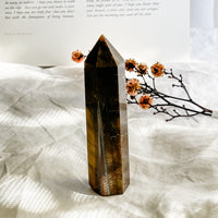 tiger eye point