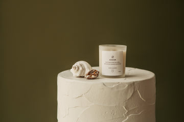 zodiac series - crystal infused candle - cancer