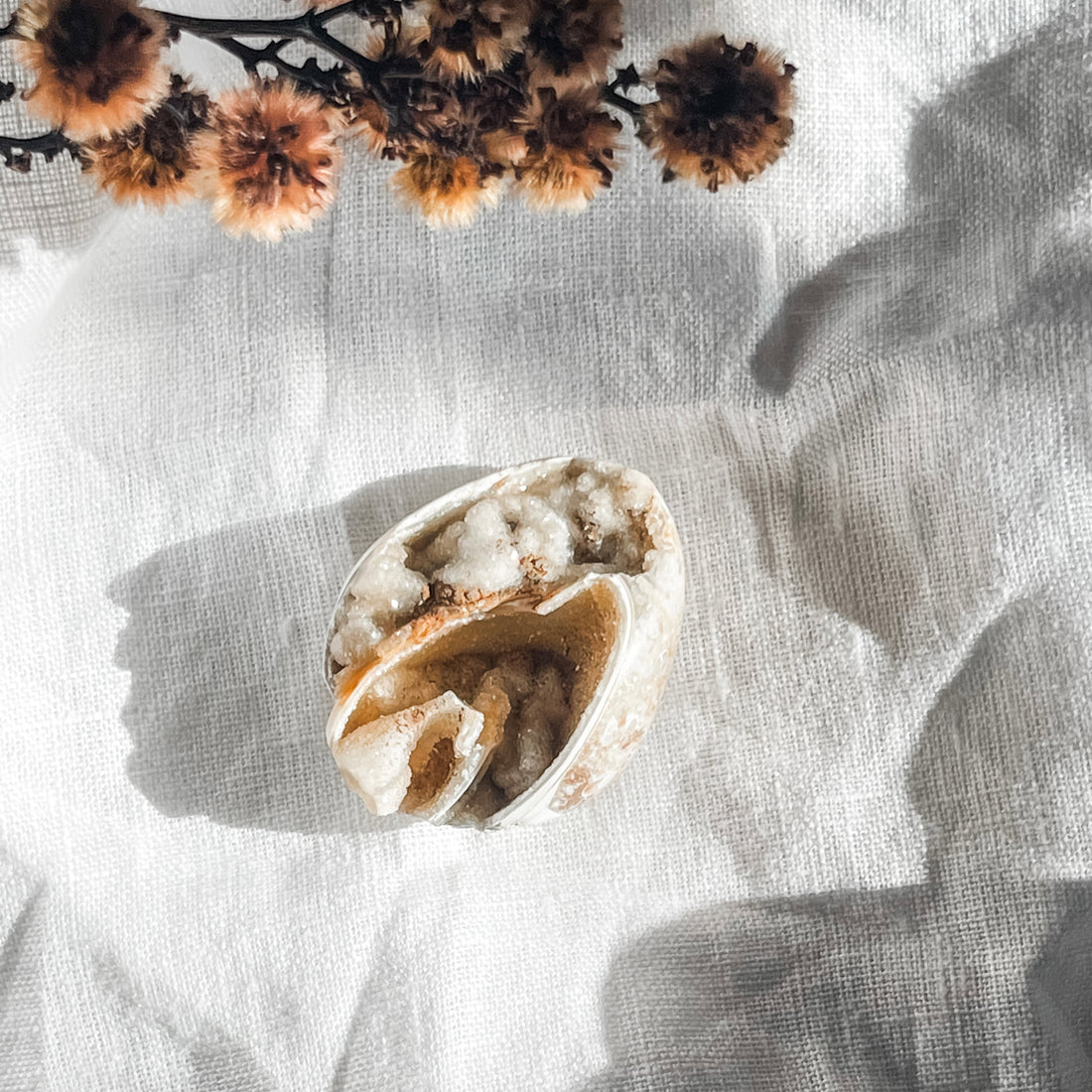 spiralite shell with druzy quartz 3