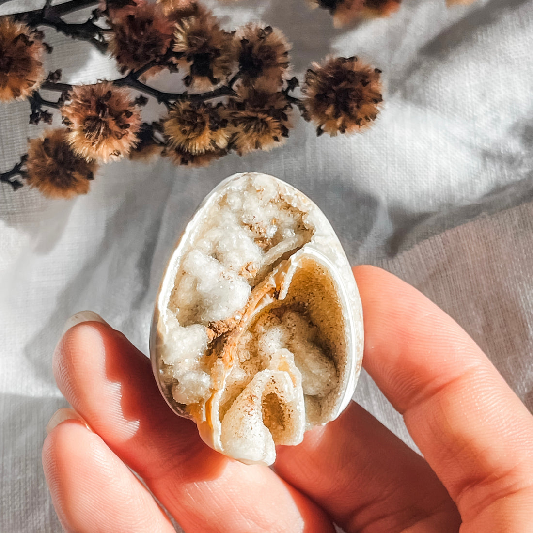spiralite shell with druzy quartz 3