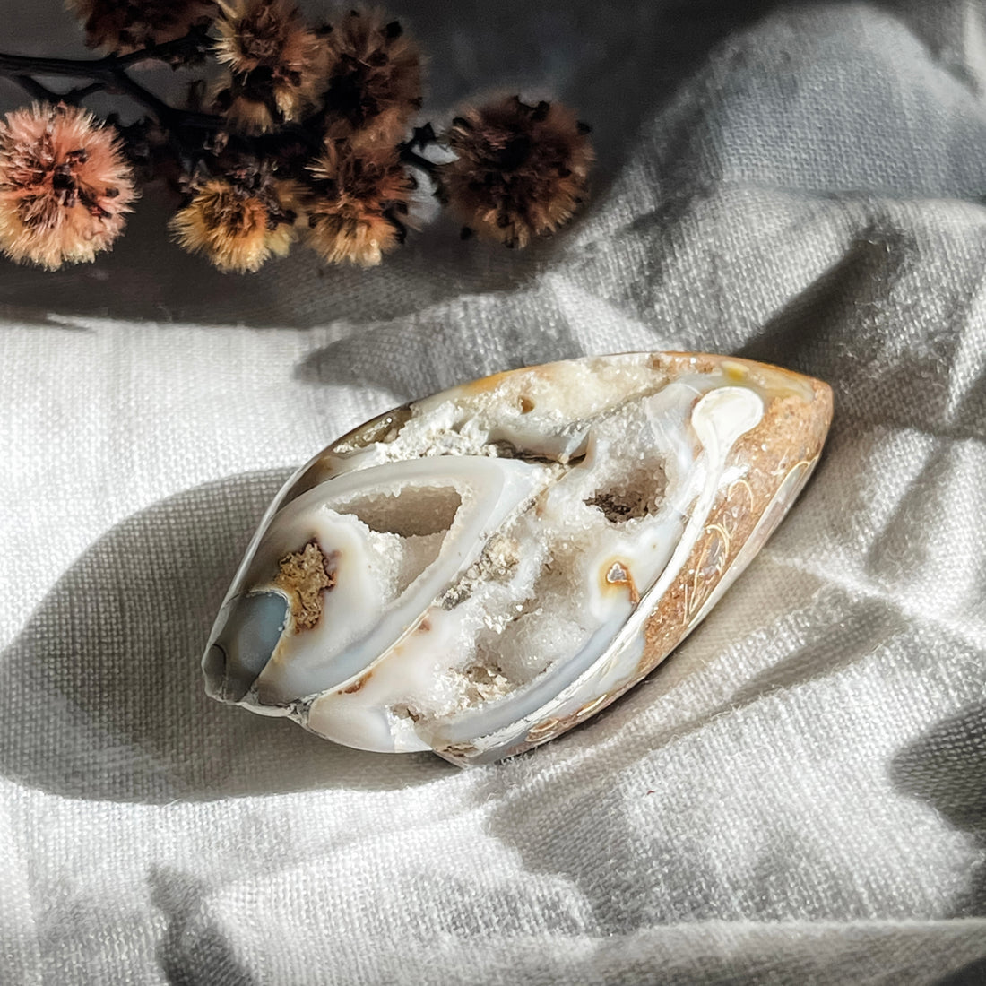 spiralite shell with druzy quartz 4