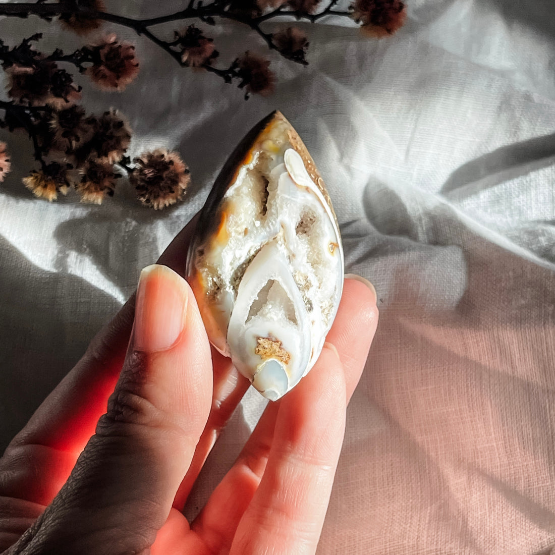 spiralite shell with druzy quartz 4