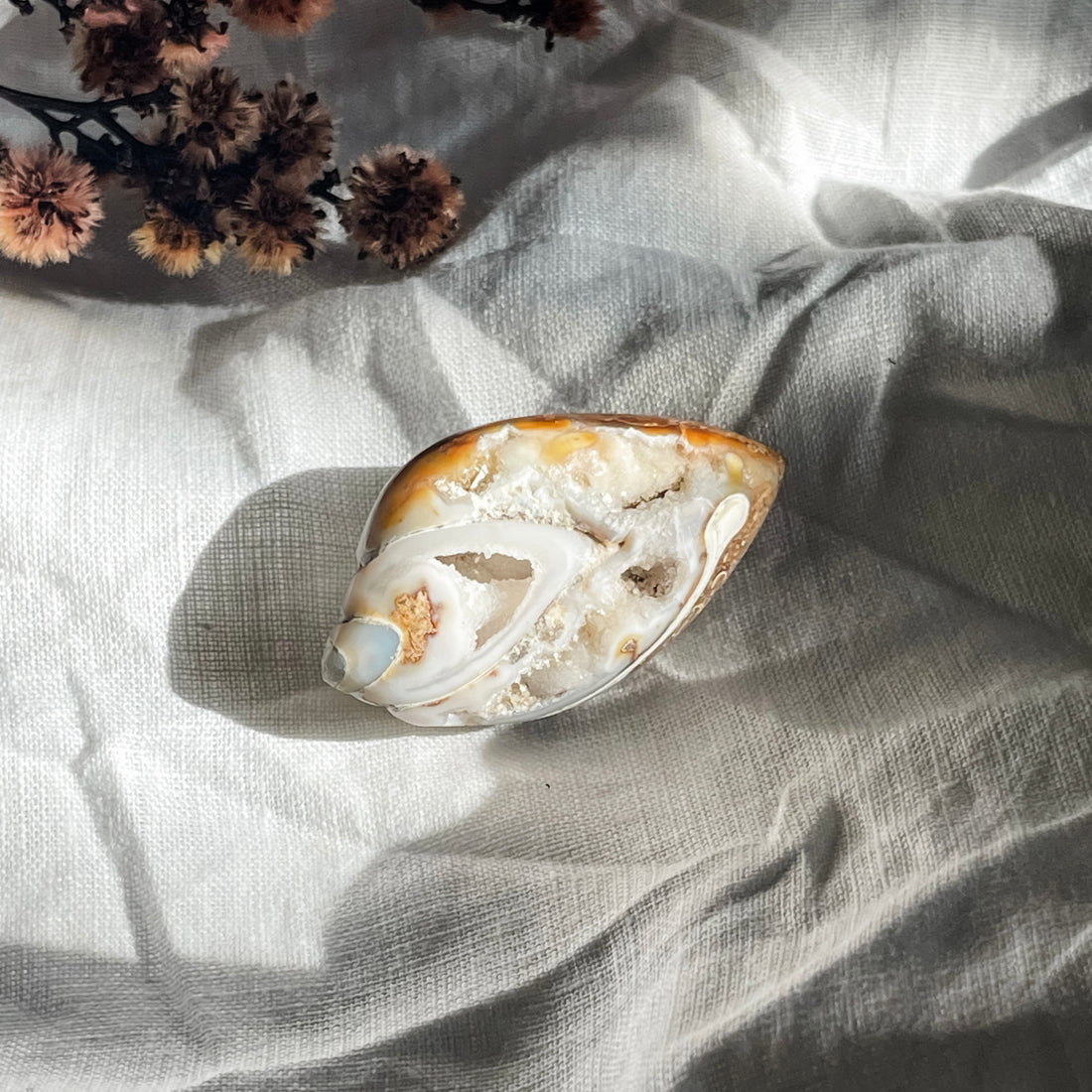 spiralite shell with druzy quartz 4
