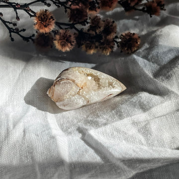 spiralite shell with druzy quartz 5