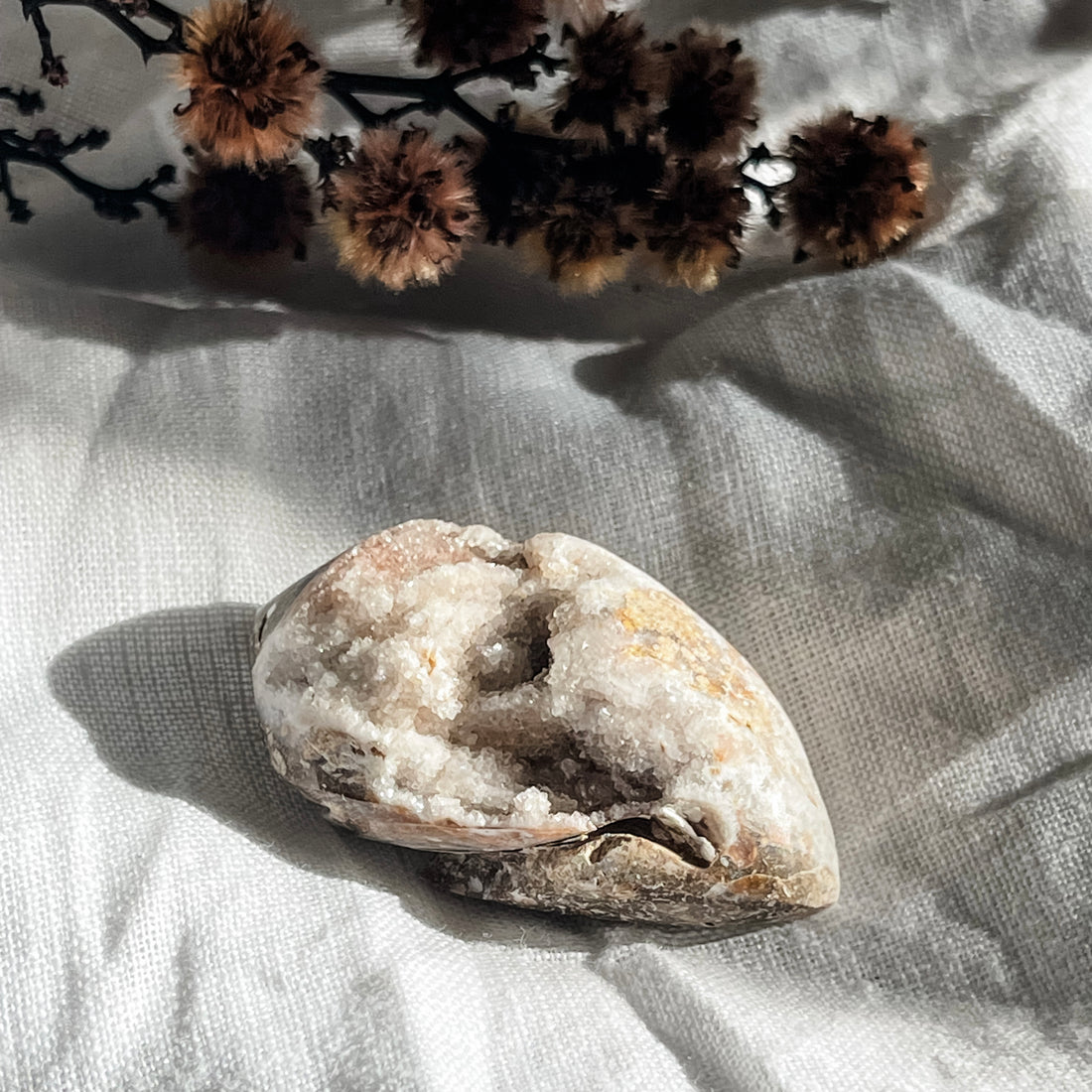 spiralite shell with druzy quartz 6
