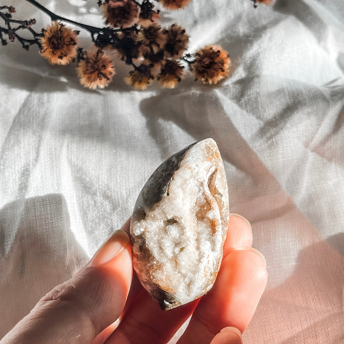 spiralite shell with druzy quartz 6