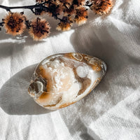 spiralite shell with druzy quartz 7