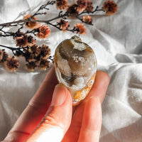 spiralite shell with druzy quartz 7