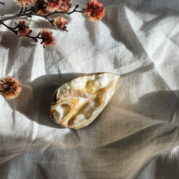 spiralite shell with druzy quartz 10