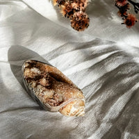 spiralite shell with druzy quartz 13