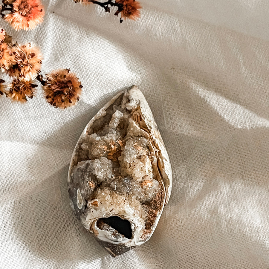 spiralite shell with druzy quartz 14