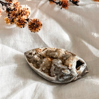 spiralite shell with druzy quartz 14