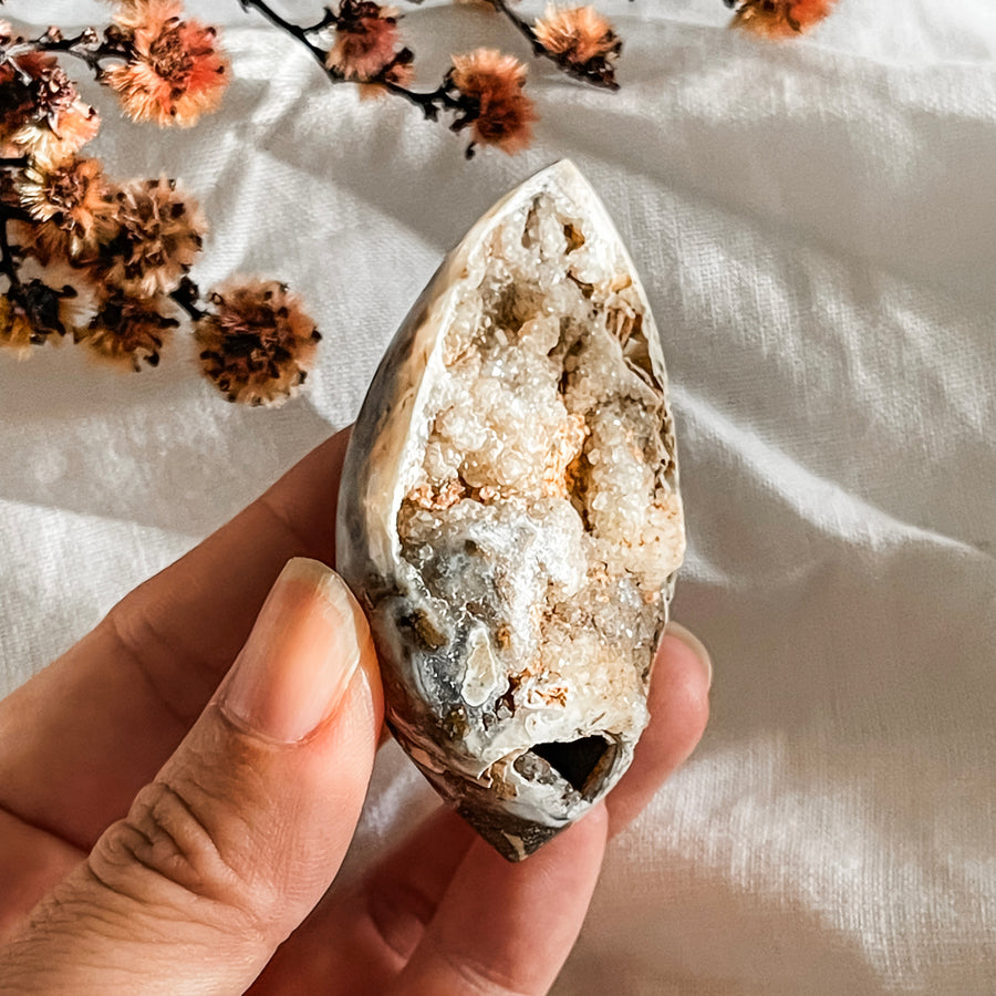 spiralite shell with druzy quartz 14