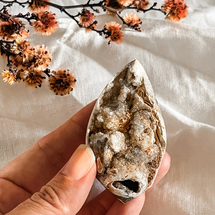 spiralite shell with druzy quartz 14