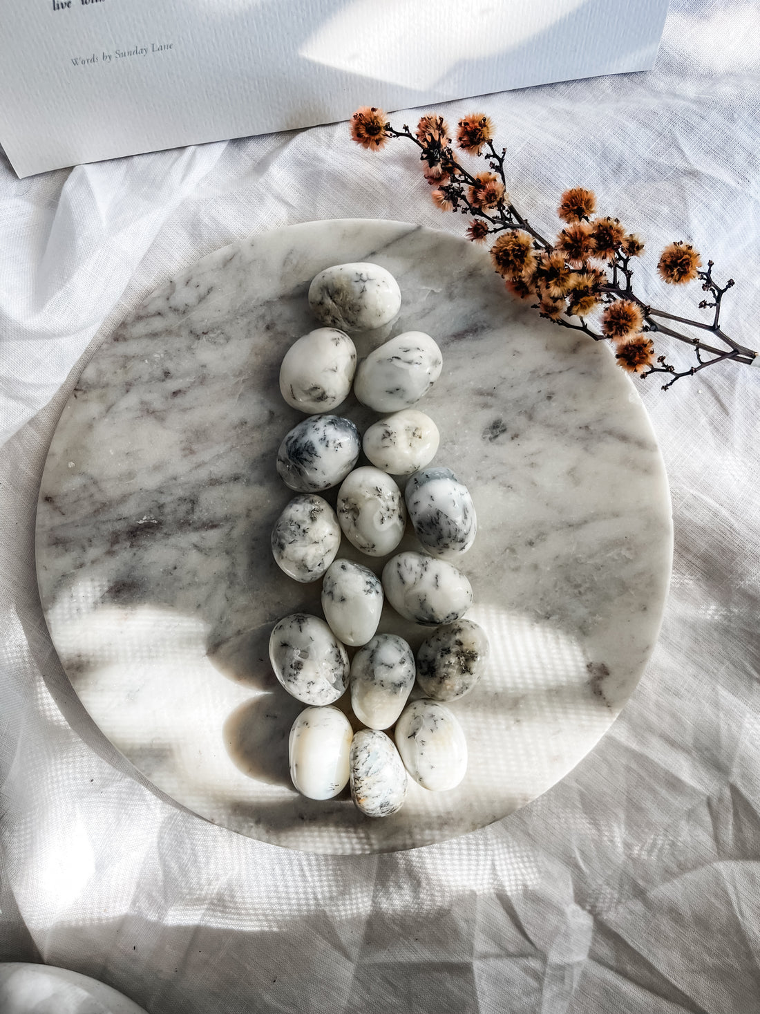 dendritic agate tumble