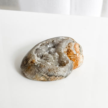fossilised spiralite shell with druzy quartz 04
