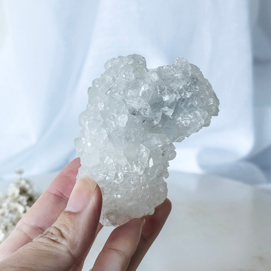 apophyllite cluster 01